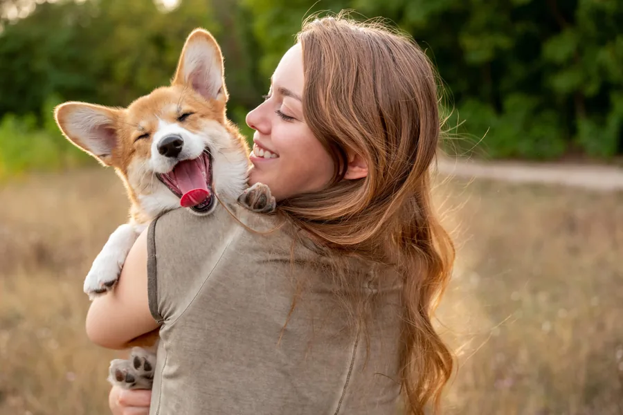 The dog you want more years with